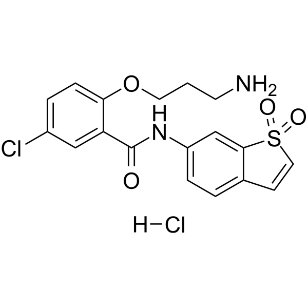 HJC0416 hydrochloride 2415263-08-8